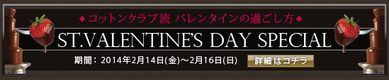 ST.VALENTINE'S DAY SPECIAL