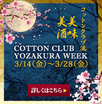 YOZAKURA WEEk (2014.3/14-3/28)