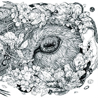 disk02