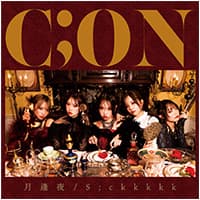 disk03